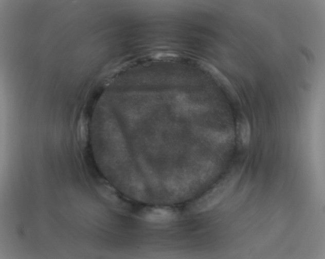 X0000113330475200910131152