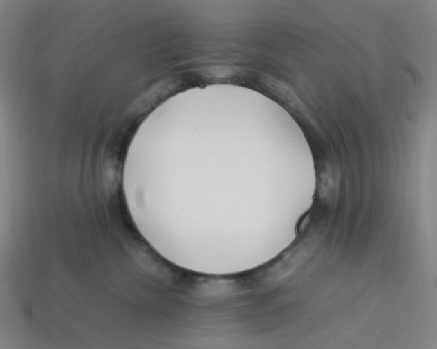 X0000113330476200910131152
