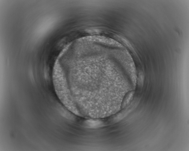 X0000113330477200910131152