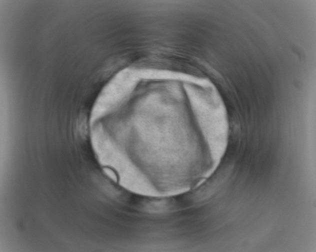 X0000113330479200910131152