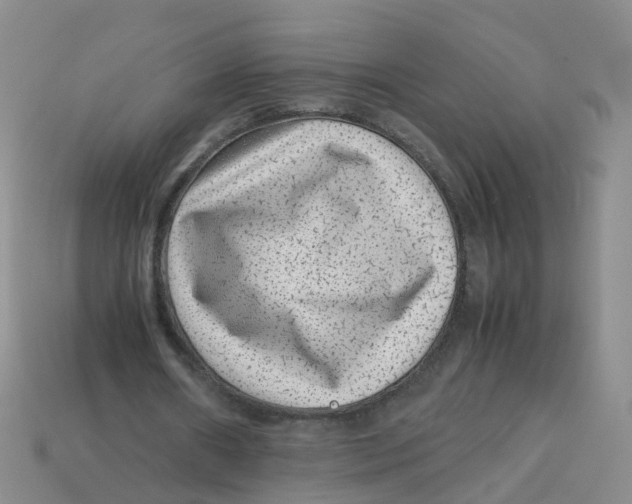 X0000113330482200910131152
