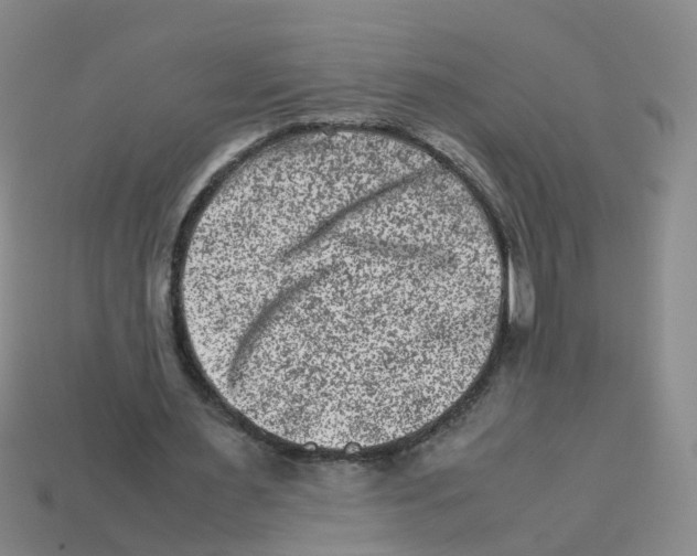 X0000113330483200910131152