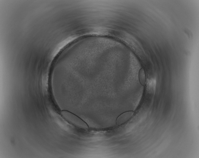 X0000113330484200910131152