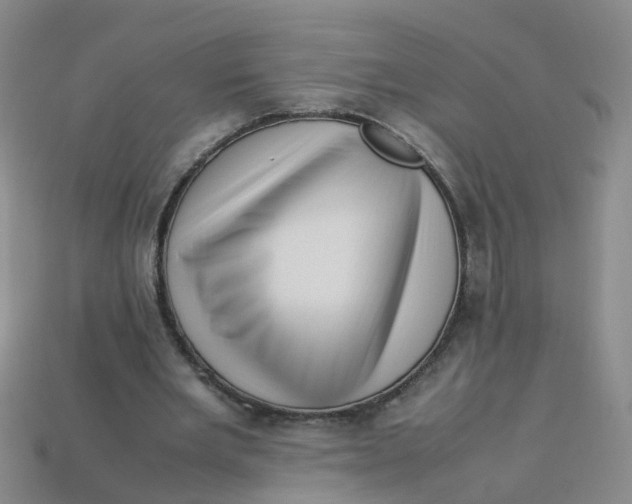 X0000113330485200910131152