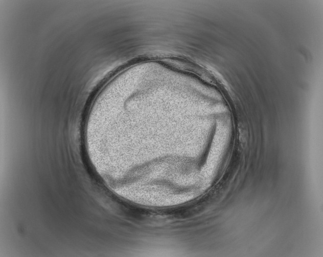 X0000113330487200910131151