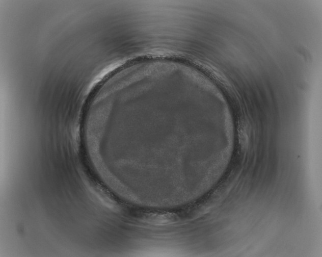 X0000113330488200910131151
