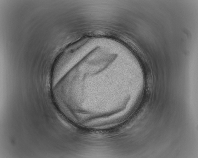 X0000113330489200910131151
