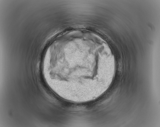X0000113330491200910131151