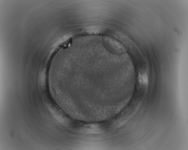 X0000113330492200910131151