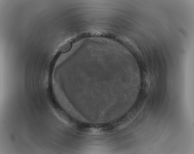 X0000113330496200910131151