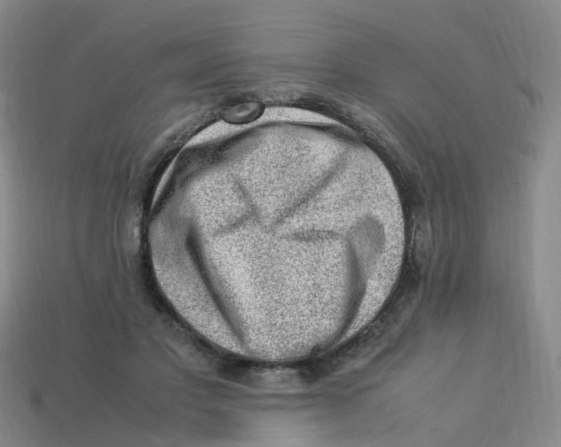X0000113330501200910131151