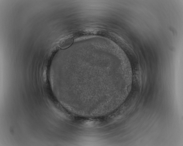 X0000113330504200910131151