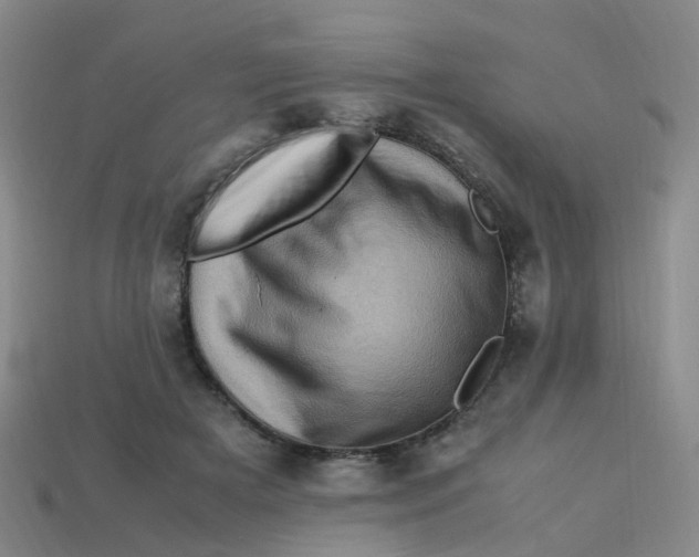 X0000113330505200910131151