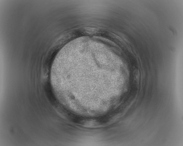 X0000113330507200910131151