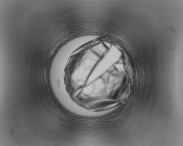 X0000113330508200910131151