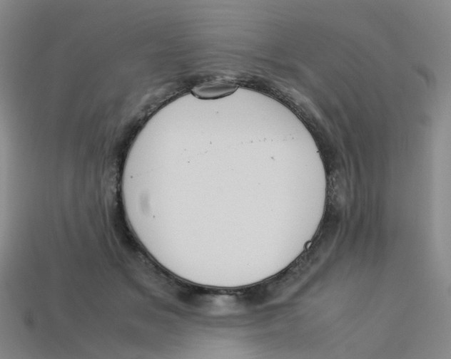 X0000113330509200910131151