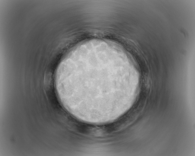 X0000113330511200910131151