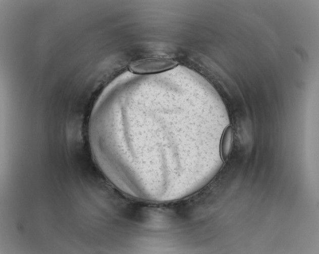 X0000113330512200910131151