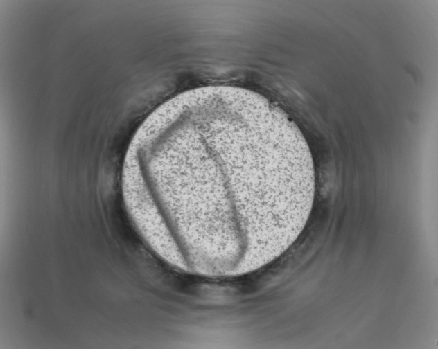 X0000113330515200910131151