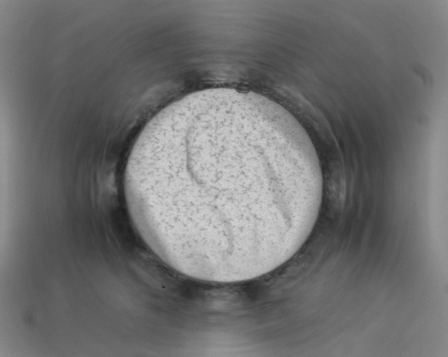 X0000113330516200910131151