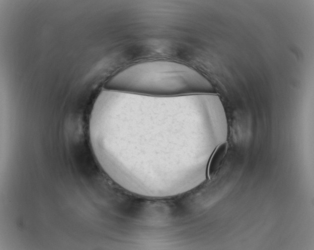 X0000113330520200910131151
