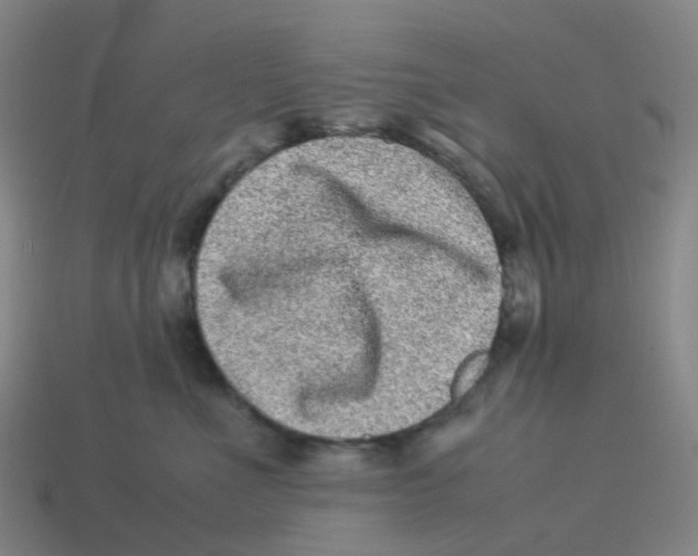 X0000113330523200910131151