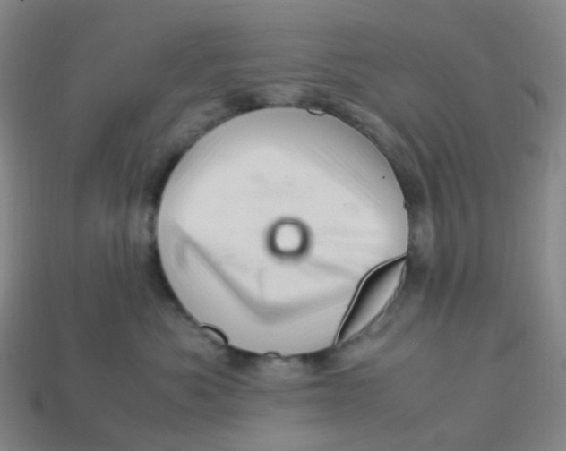 X0000113330525200910131151