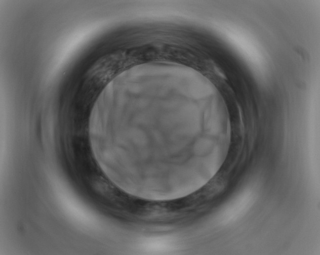 X0000113330526200910131151