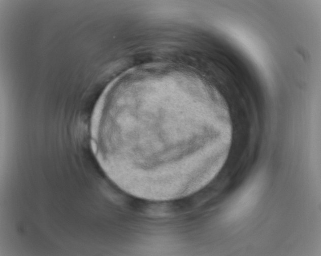 X0000113330527200910131151