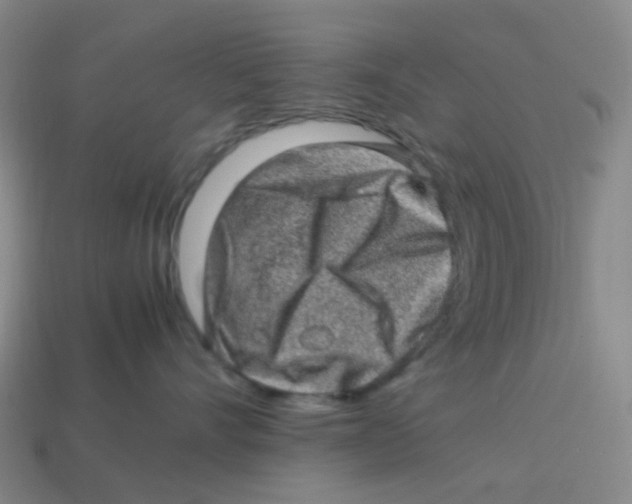 X0000113330528200910131151