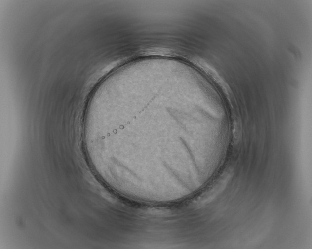 X0000113330529200910131150