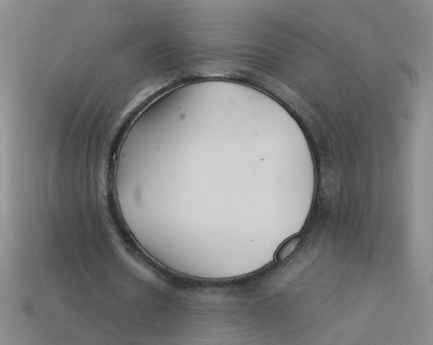 X0000113330530200910131150