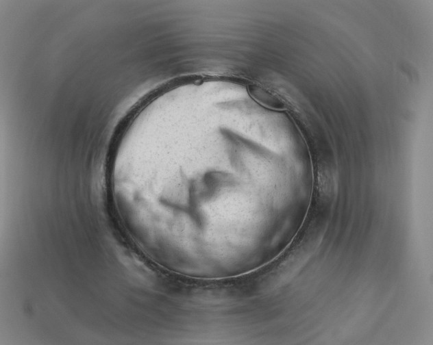 X0000113330532200910131150