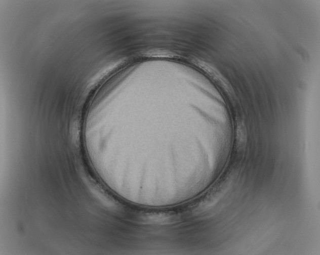 X0000113330533200910131150