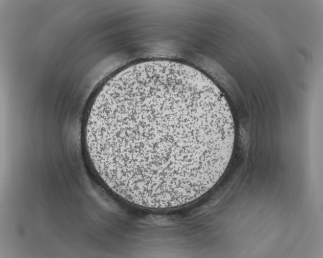 X0000113330534200910131150