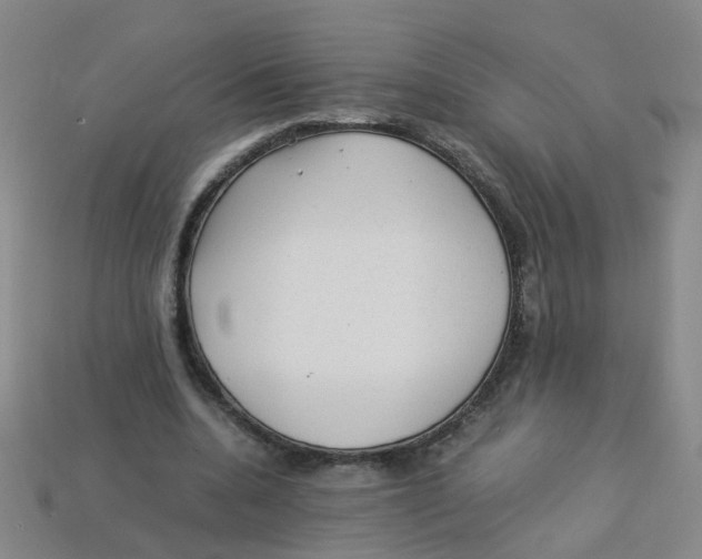 X0000113330536200910131150