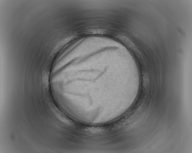 X0000113330537200910131150