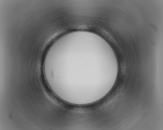 X0000113330538200910131150