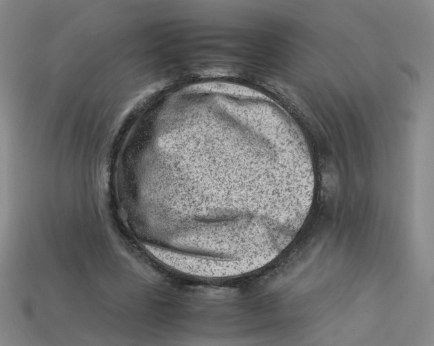 X0000113330539200910131150