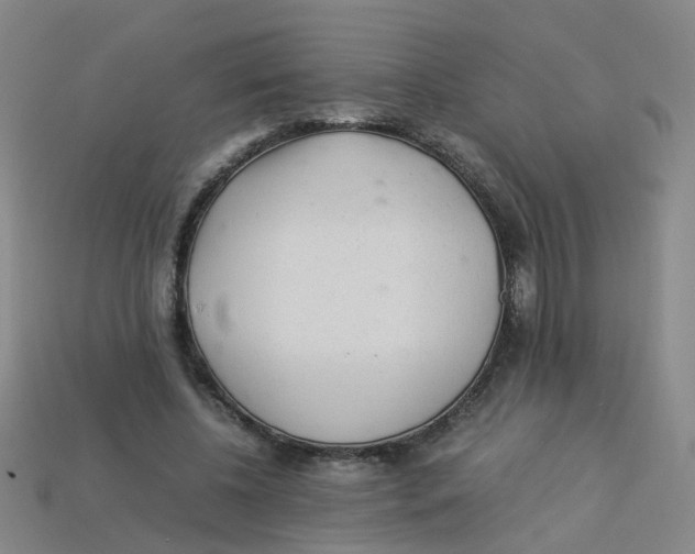X0000113330540200910131151