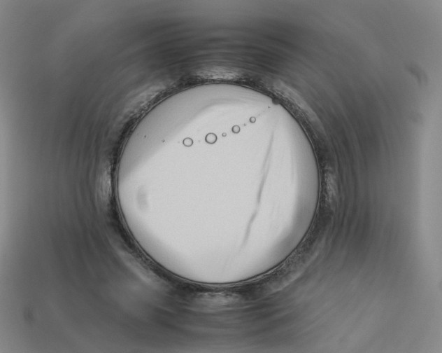 X0000113330541200910131151