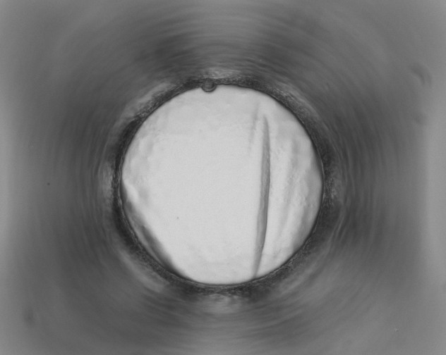 X0000113330542200910131151