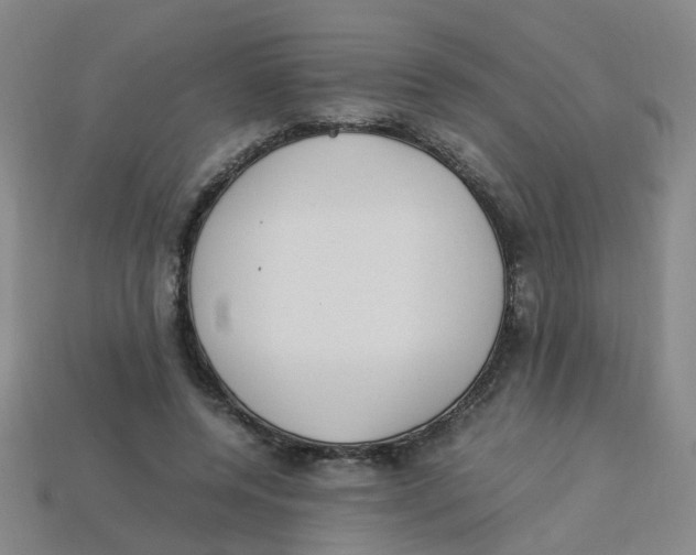 X0000113330544200910131151