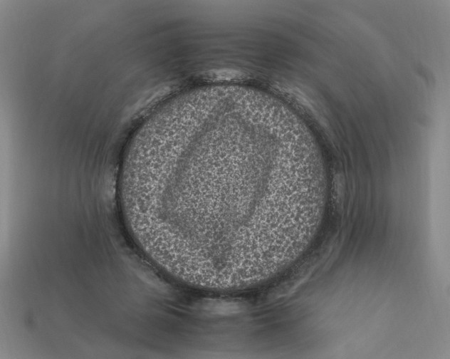 X0000113330545200910131151