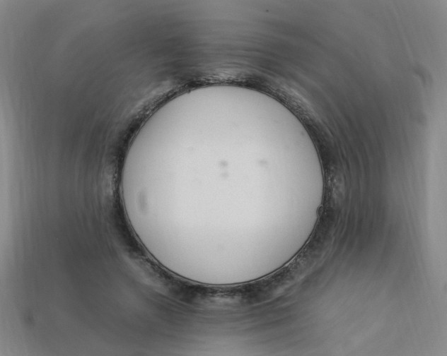 X0000113330546200910131151