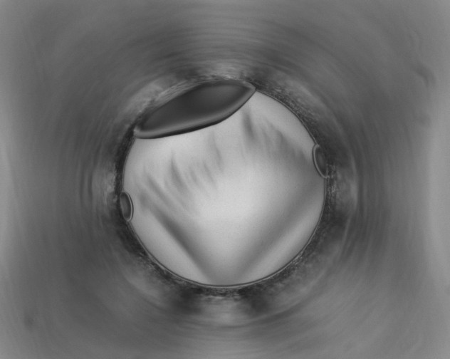 X0000113330548200910131151