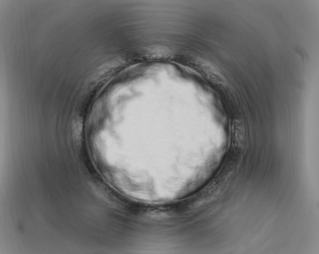 X0000113330550200910131151