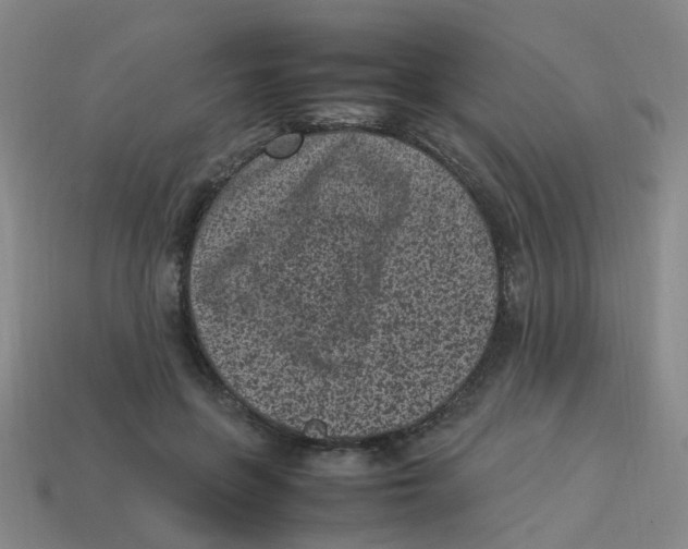 X0000113330551200910131151
