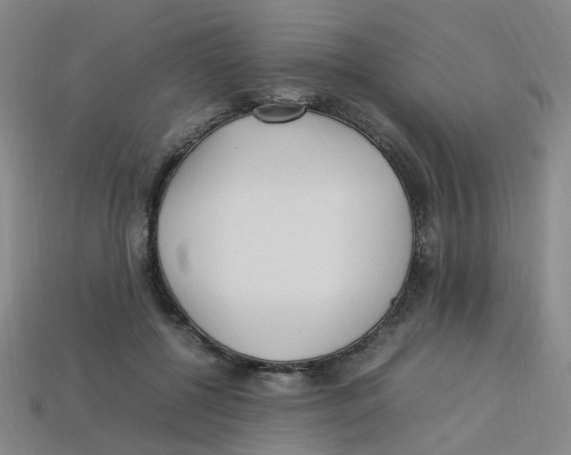 X0000113330552200910131151