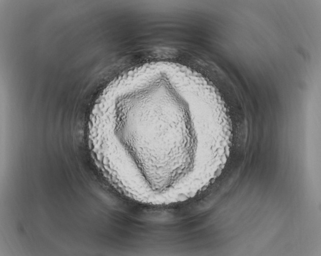 X0000113330553200910131151
